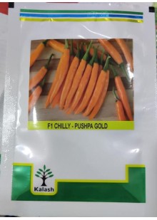 F1 Chilly Pushpa Gold